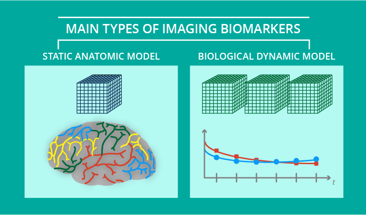 2 models of image biomarkers