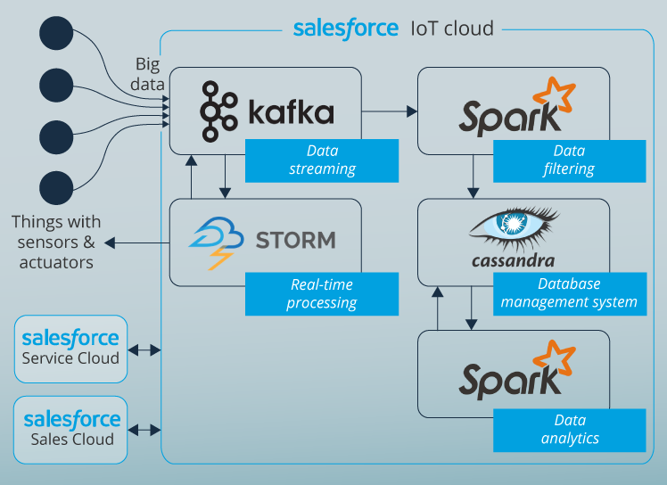 Salesforce IoT Cloud: Benefits and Limitations