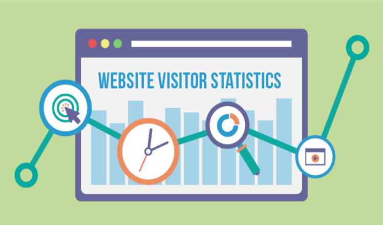 Website visitor analytics