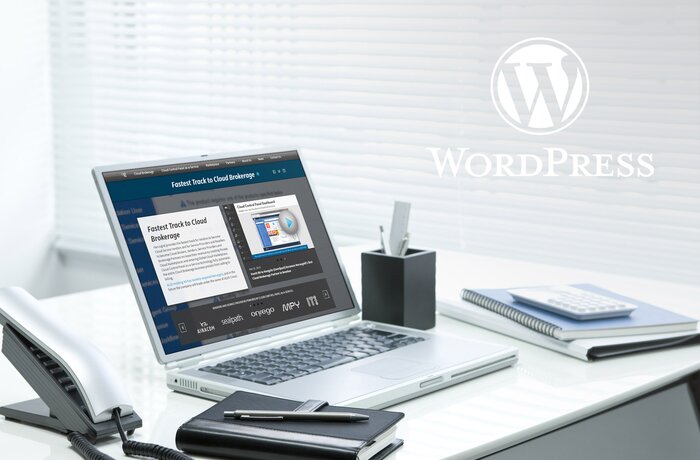 Website Modernization for an International Cloud Brokerage Company