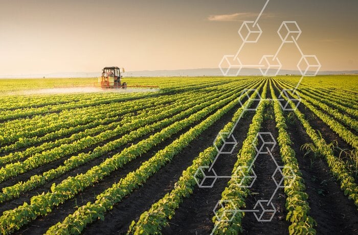 IT Consulting to Optimize the TCO of Blockchain-Based Agricultural Product Marketplace