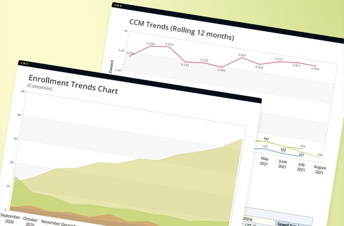 BI Solution for 500+ Nursing Homes