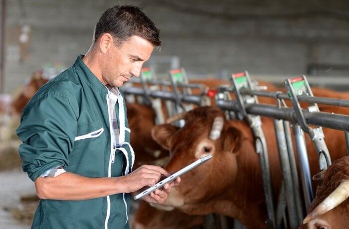 RFID-Enabled Smart Farming Application for Livestock Management