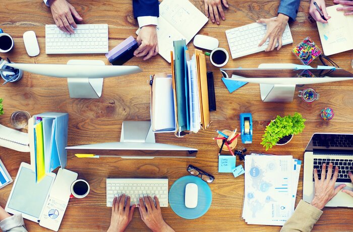 Pimcore-Based Microblogging Website for Networking and Opinion Sharing