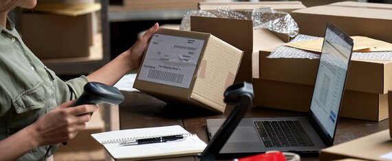 Web Application and API Pentesting for an Enterprise Mobility Solutions Vendor