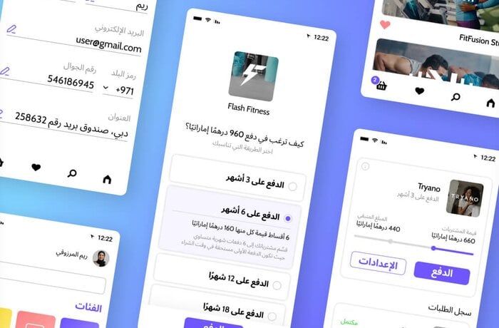 استشارات تقنية المعلومات وتعزيز الفريق لتطوير منتج برمجي لخدمات الشراء بالتقسيط لإحدى الشركات الإماراتية