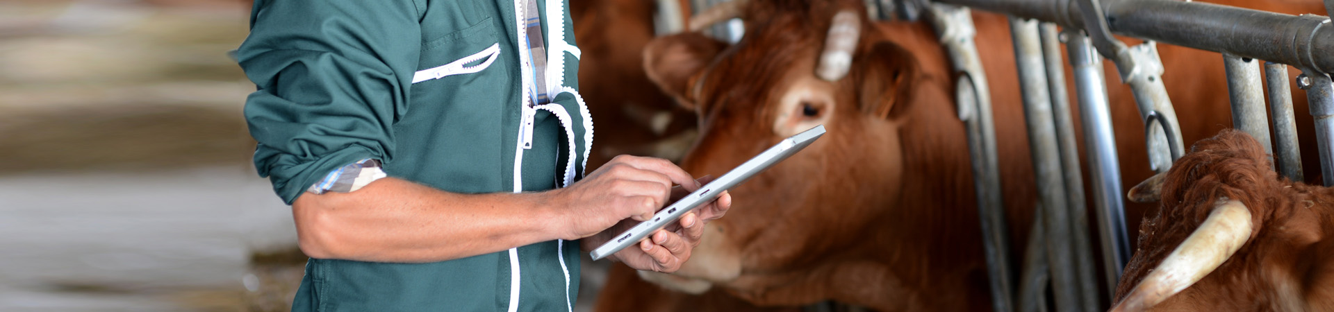 Development of RFID-Enabled Smart Farming Application for Livestock Management