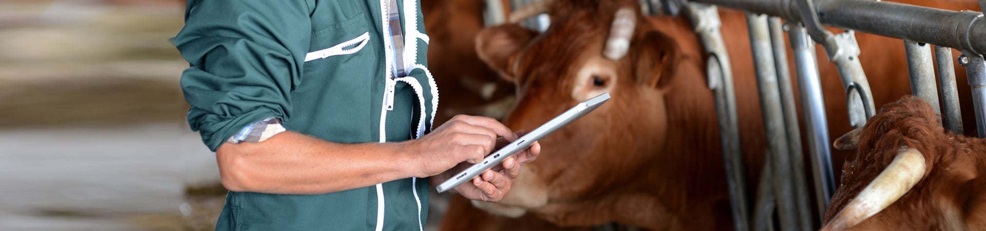 RFID-Enabled Smart Farming Application for Livestock Management