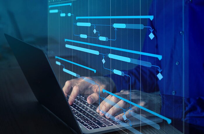 Support and Cost-Efficient Enhancement of Project Management Software