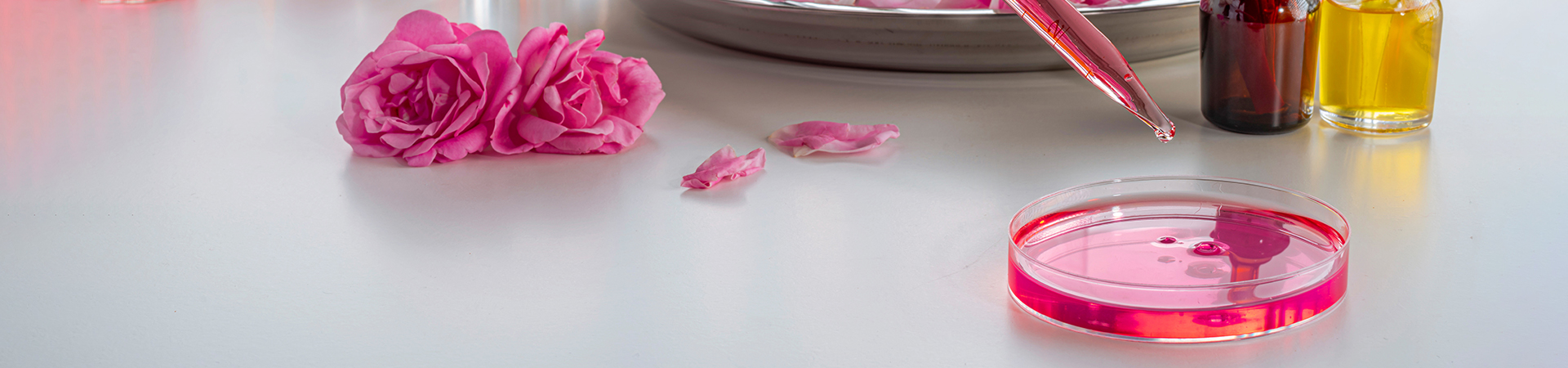 SharePoint Intranet Redesign for a Perfume Manufacturer