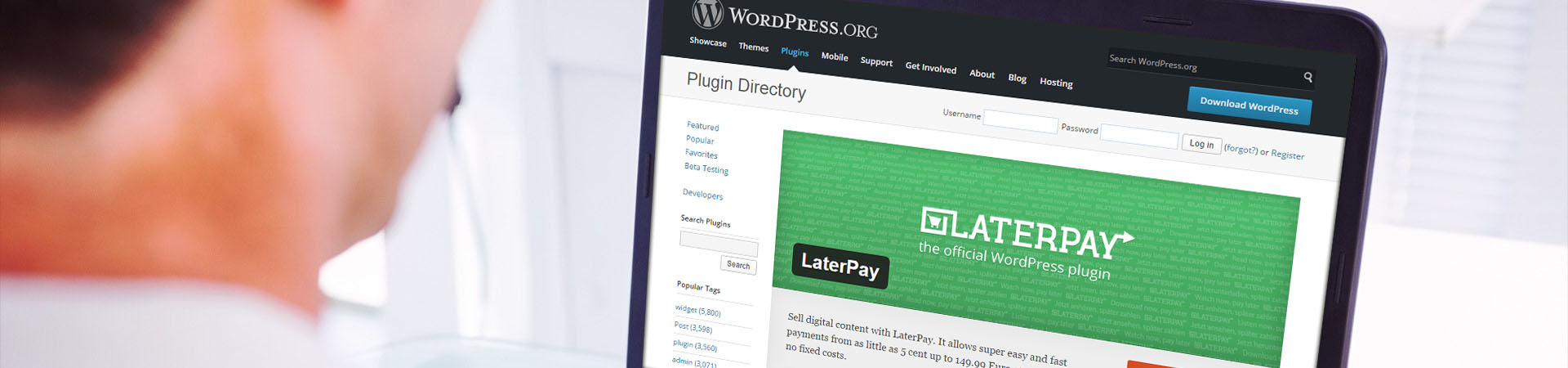 Advanced Pay-Per-Post WordPress Plugin For LaterPay GmbH