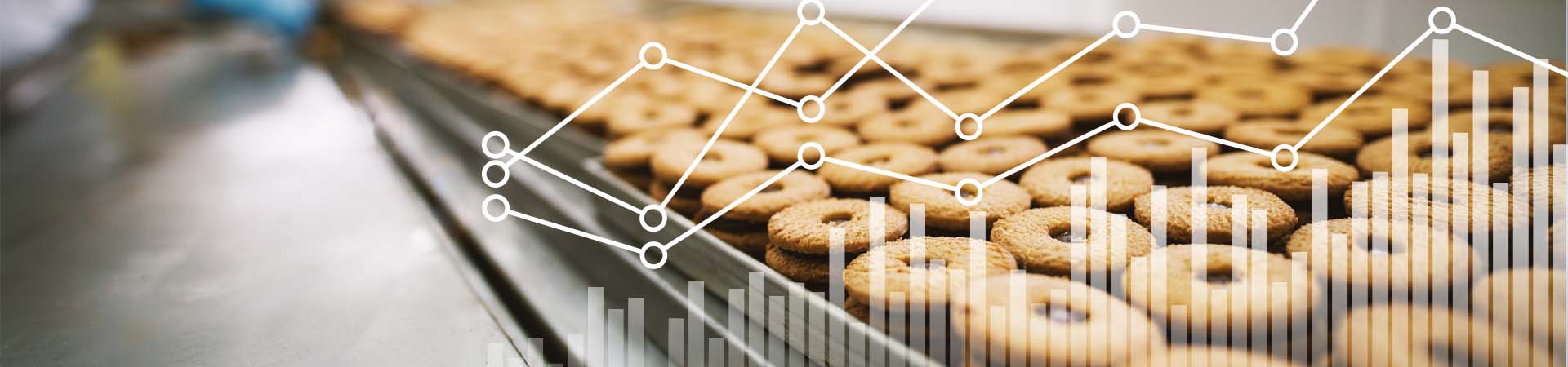 Scalable BI Solution and Customizable Reports for a Food Manufacturer and Distributor 