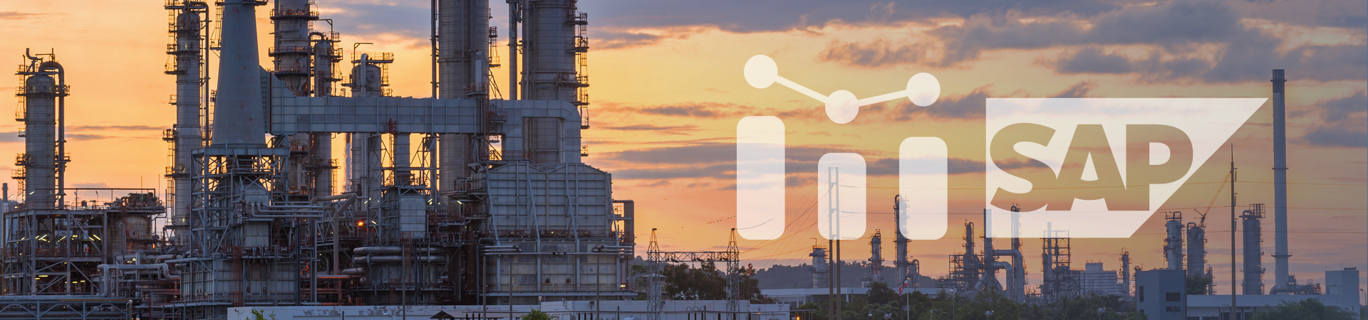 Upgrade of SAP-based Reporting Software for Petroleum Enterprises