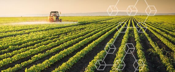 IT Consulting to Optimize the TCO of Blockchain-Based Agricultural Product Marketplace