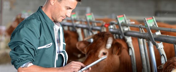 RFID-Enabled Smart Farming Application for Livestock Management