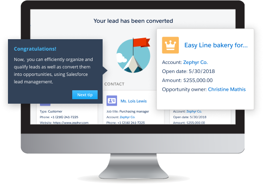 Sales Cloud: Lead Management