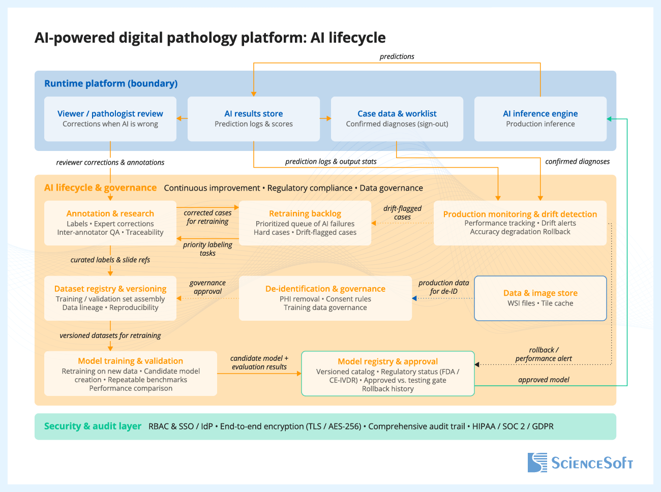 AI-Powered Digital Pathology Platform: AI Lifecycle