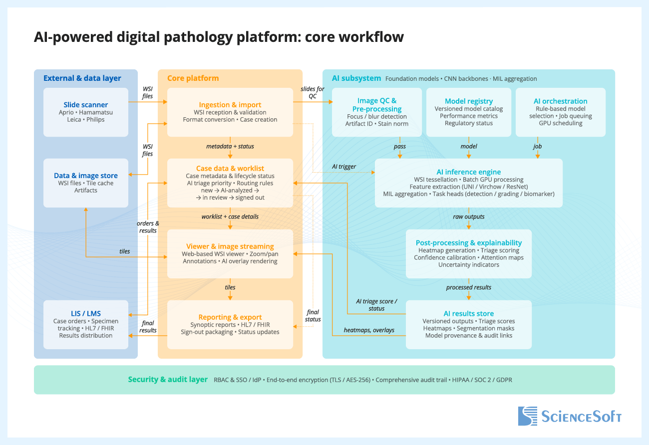 AI-Powered Digital Pathology Platform: Core Workflow