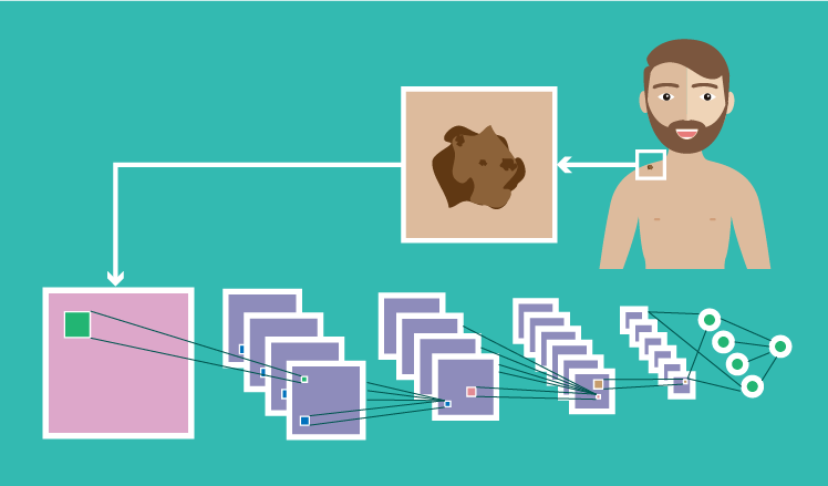 CNNs for automated skin cancer diagnostics