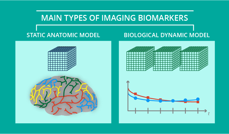 2 models of imaging biomarkers
