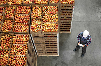 Penetration Testing for an Enterprise Resource Planning Platform