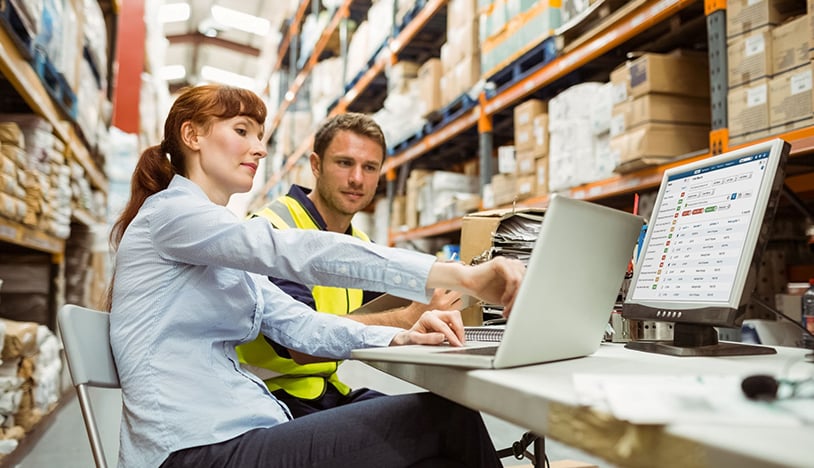 Development of a Supply Chain E-Collaboration Network for 1,700-Store Retailer Auchan