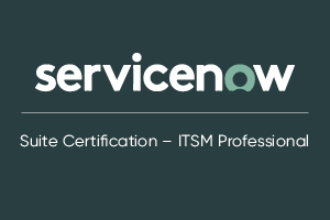 Now We Hold Suite Certification – ITSM Professional