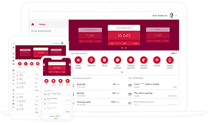 Responsive B2C website design